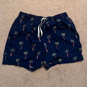 Chubbie’s Palm tree swim trunks